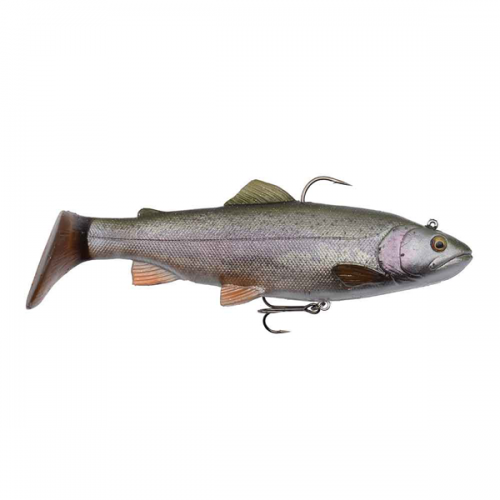 Rainbow Trout