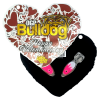 Bulldog ValentinesDay 2023