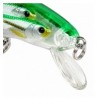 Fish-XPro PrimeVision Lure