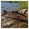 Fish-XPro Swimbait Kit